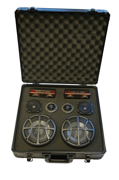 DLS Scandinavia 3-way system case. ����������� �������������� Scandinavia 3-way system case.